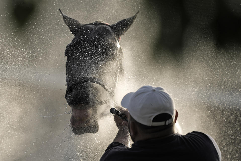 Kentucky Derby entrant Grand Mo The First gets a bath after a workout at Churchill Downs Thursday, May 2, 2024, in Louisville, Ky. The 150th running of the Kentucky Derby is scheduled for Saturday, May 4. (AP Photo/Charlie Riedel)