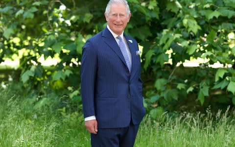 An Image of Prince Charles from Prince, Son and Heir: Charles at 70 - Credit: Hugo Burnand 