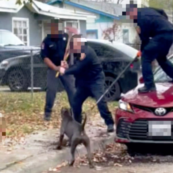 Firefighters defend themselves from a dog that was involved in a deadly attack in San Antonio on Friday. (Courtesy WOAI/KABB)