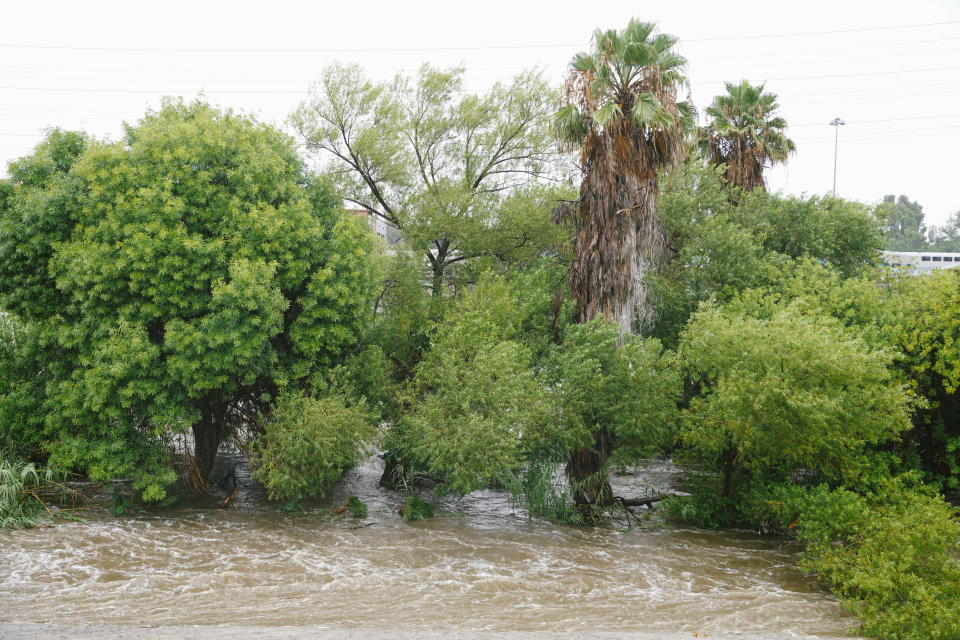 Flooding in the Los Angeles River