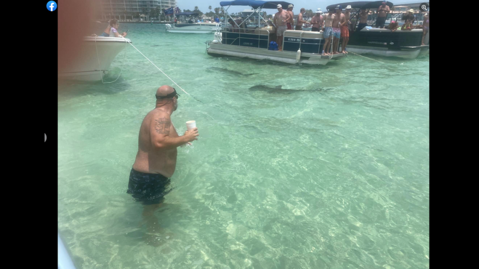 Paul Hubble decided to stay in the water with the sharks as his fiance took a video.