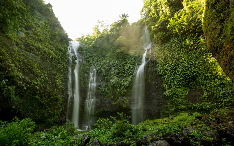 Sekumpul Falls, Bali