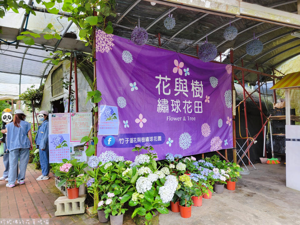 台北｜竹子湖 花與樹繡球花園