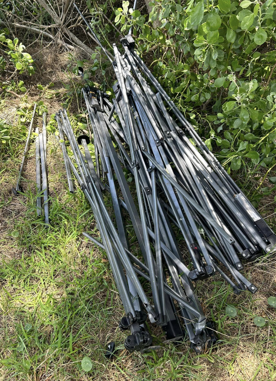 The remnants of the broken tent on the grass at the campsite. 