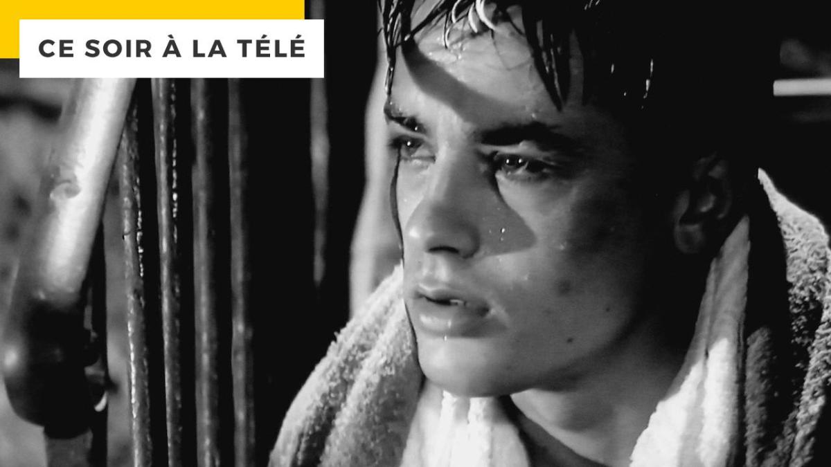 Alain Delon in Uno dei monumenti del cinema italiano lo ha valutato 4.1/5