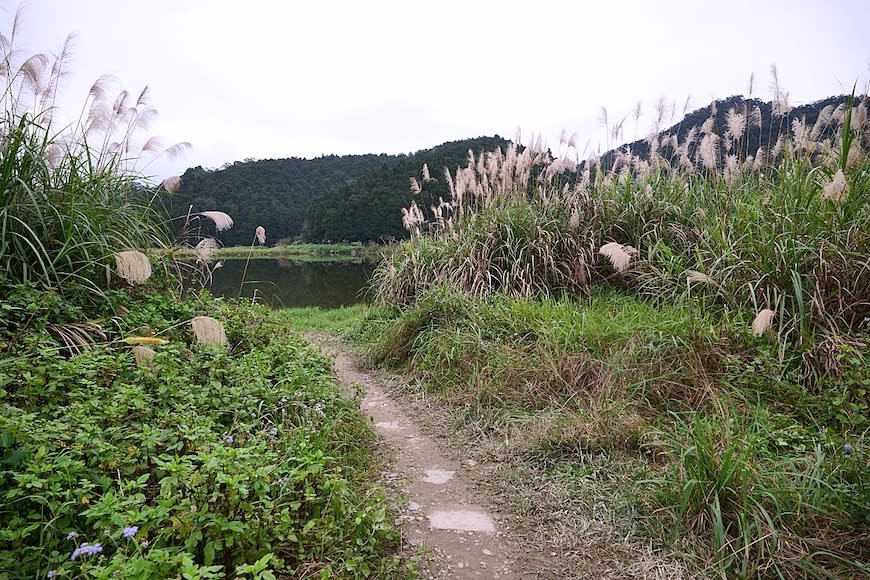 宜蘭雙連埤環湖步道