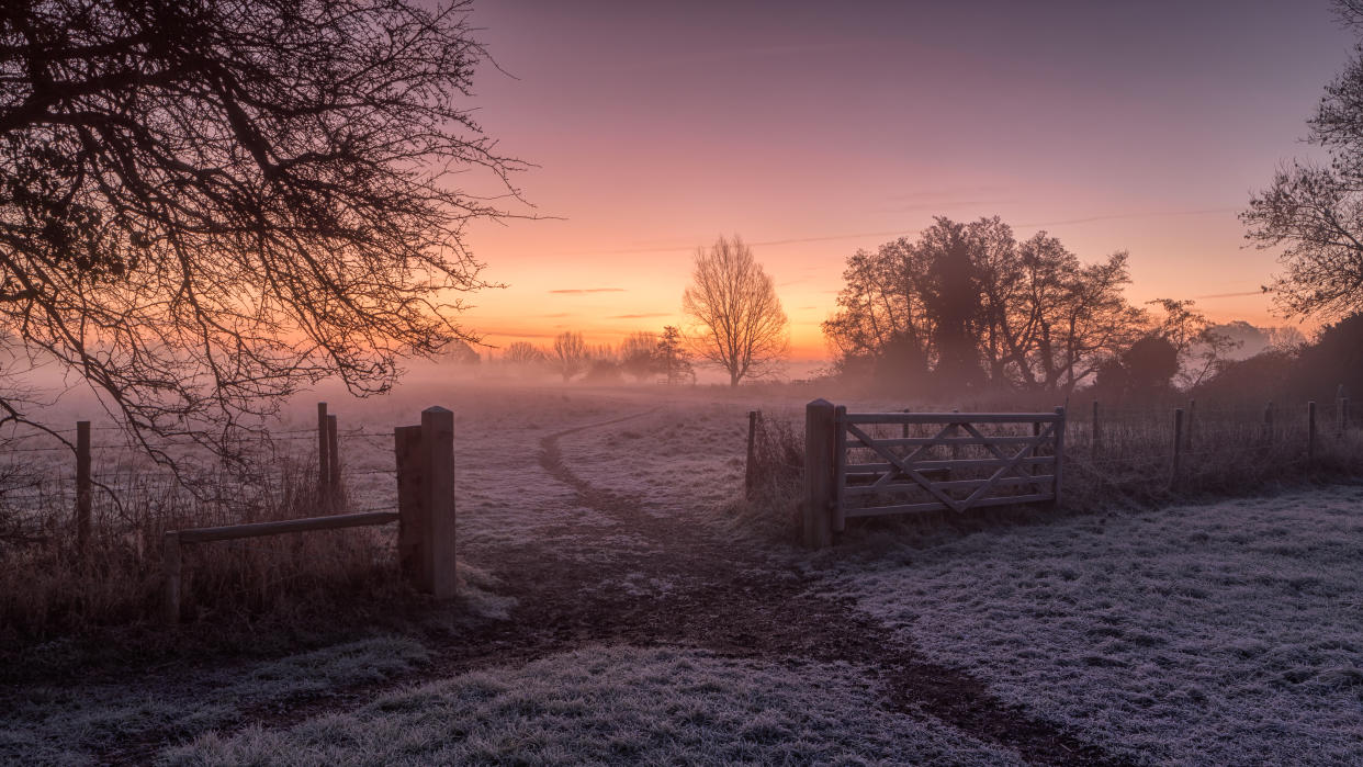 Dedham, Colchester, UK. December 16, 2017.
Image shows a violet and purple hinted image of a very cold, Winter scene. The frost is still covering the ground but we see the sun trying hard to bring warmth to a cold, frosty morning. Our attention is drawn to the track that leads through an open gate between two fields, the track snakes through the frost, towards the rising sun we see in the sky and into the the mist. All around are trees with no foliage, despite the obvious cold nature of the image there is a warmth to the scene cast by the orange and purple hues.