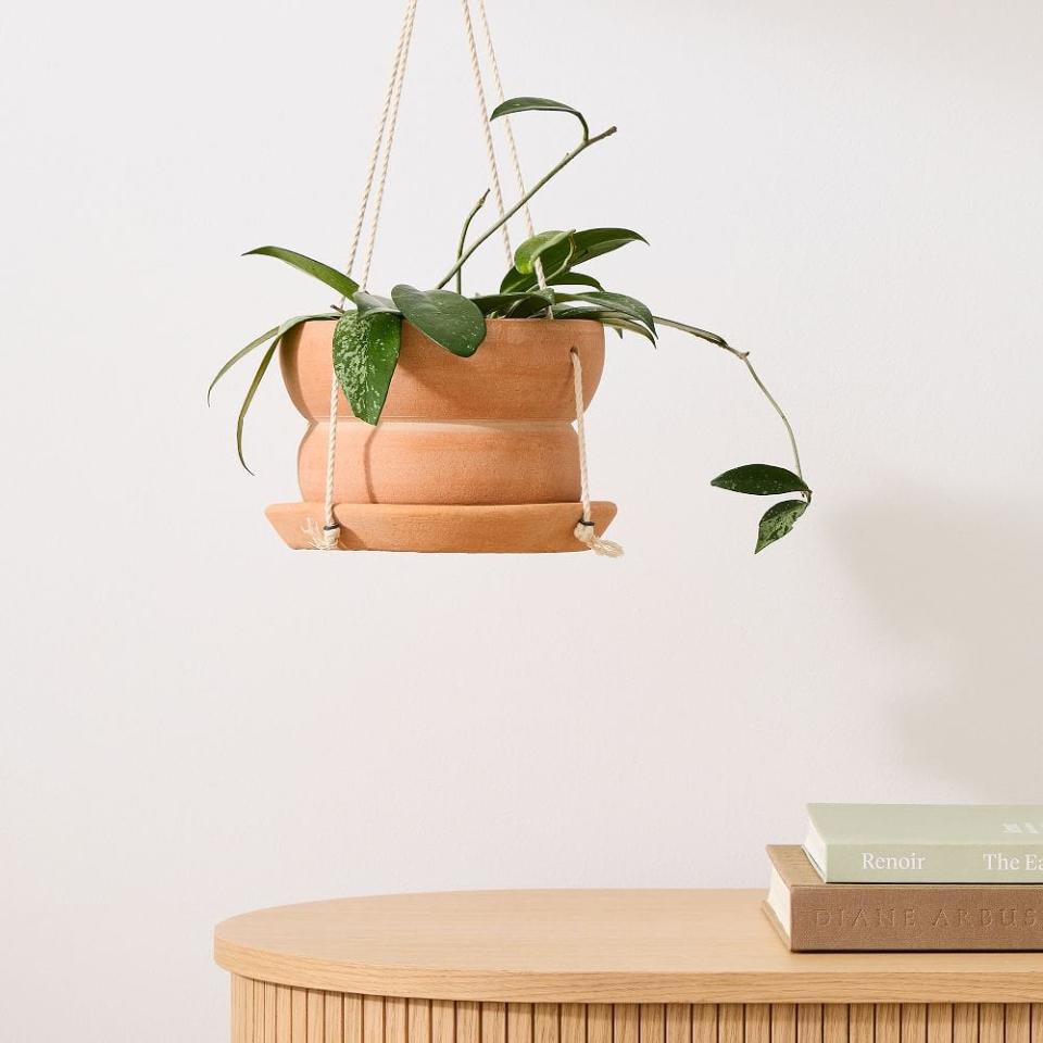 3) Plant Kween Terracotta Hanging Planter