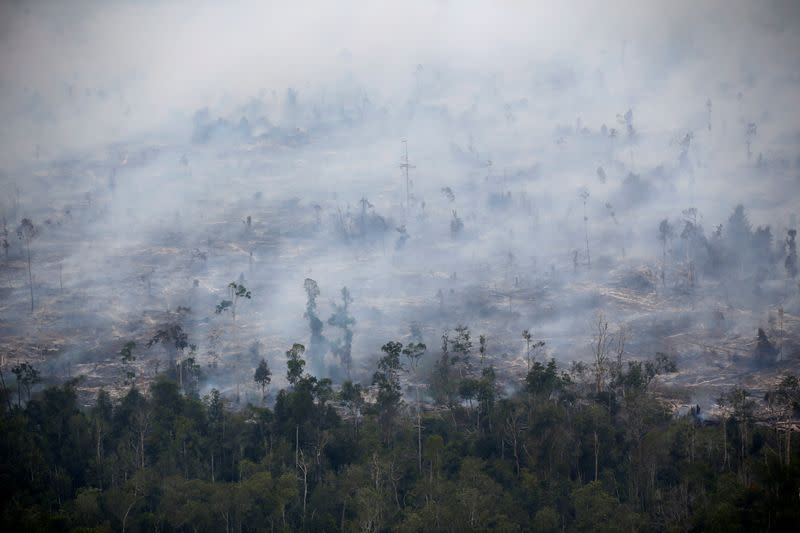 Smoke covers forest during fires in Kapuas regency near Palangka Raya in Central Kalimantan province