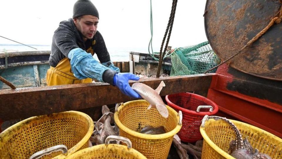 Fisherman on a boat puts a fish in a bucket