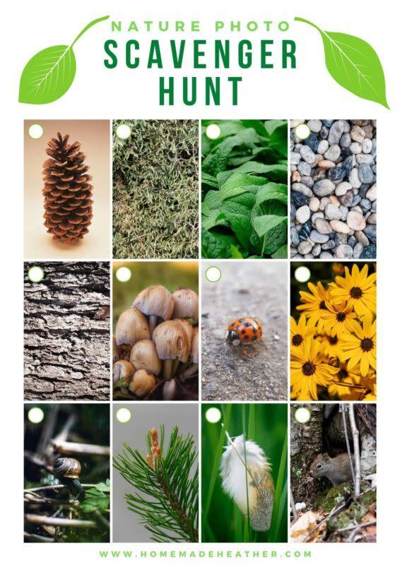 17) Nature Scavenger Hunt