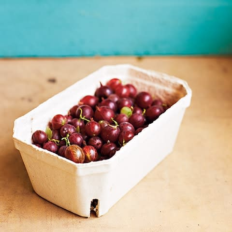 Worcesterberries from Organiclea - Credit: Harriet Clare