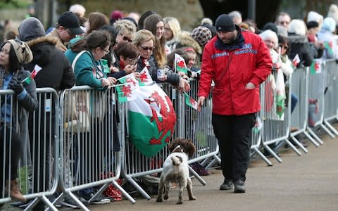 A police sniffer dog at work in front of members of the public awaiting the arrival of Prince Harry and Meghan Markle - Credit: Andrew Matthews /PA