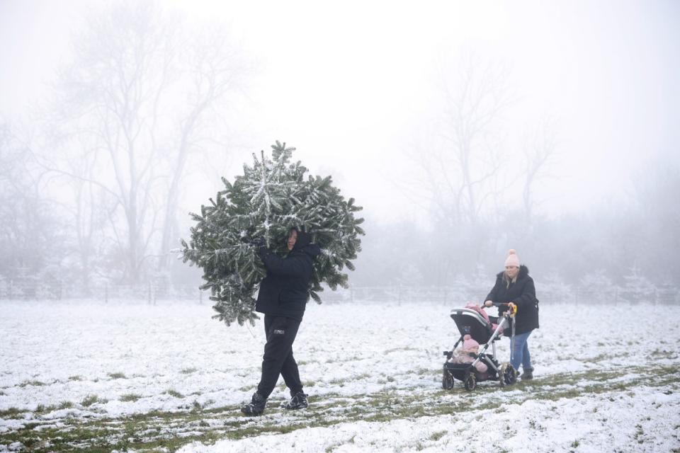 A man carries a Christmas tree with a snow covered field with his family at Mill Farm (Getty)