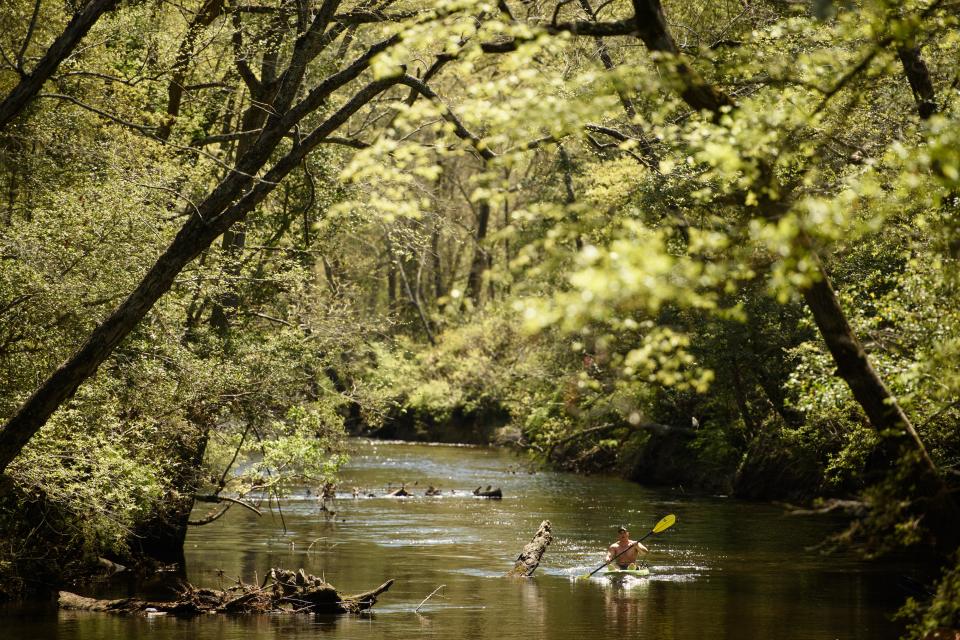 A kayaker paddles up the Little River on April 4. Spring Lake Outpost has requested a business waiver from the state to promote outdoor recreation while coronavirus regulations are in place.