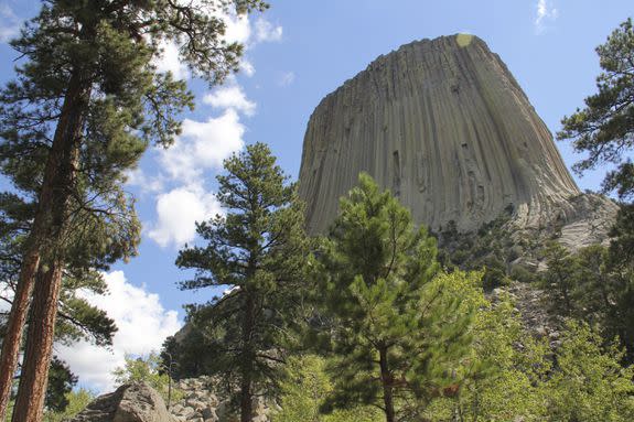 Theodore Roosevelt used the Antiquities Act to protect Devil's Tower National Monument in 1906.