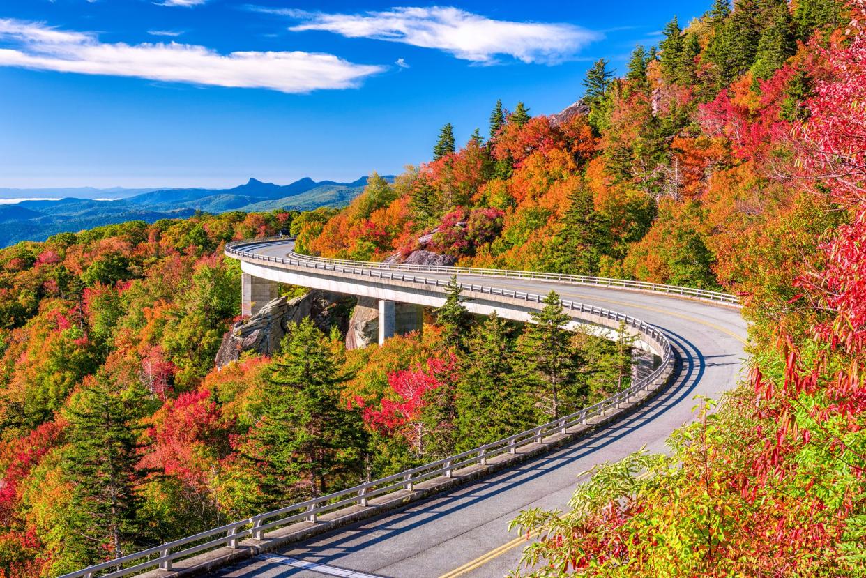 Linn Cove Viaduct Along Grandfather Mountain on The Blue Ridge Parkway, North Carolina during the height of autumn colors of the trees