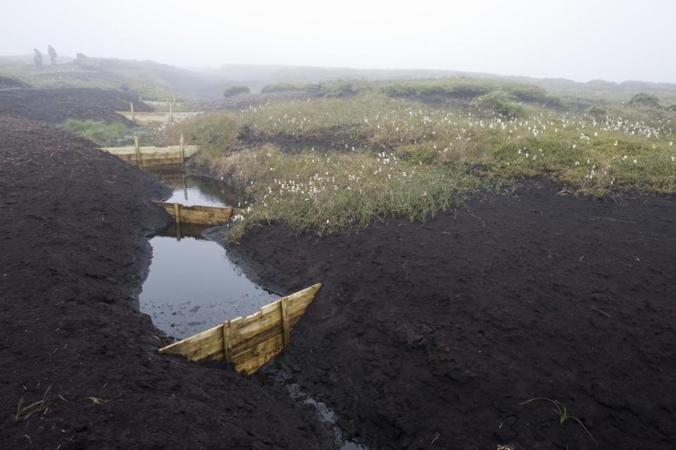 Peatland restoration work undertaken by the National Trust in the Peak District (National Trust/PA) (PA Media)