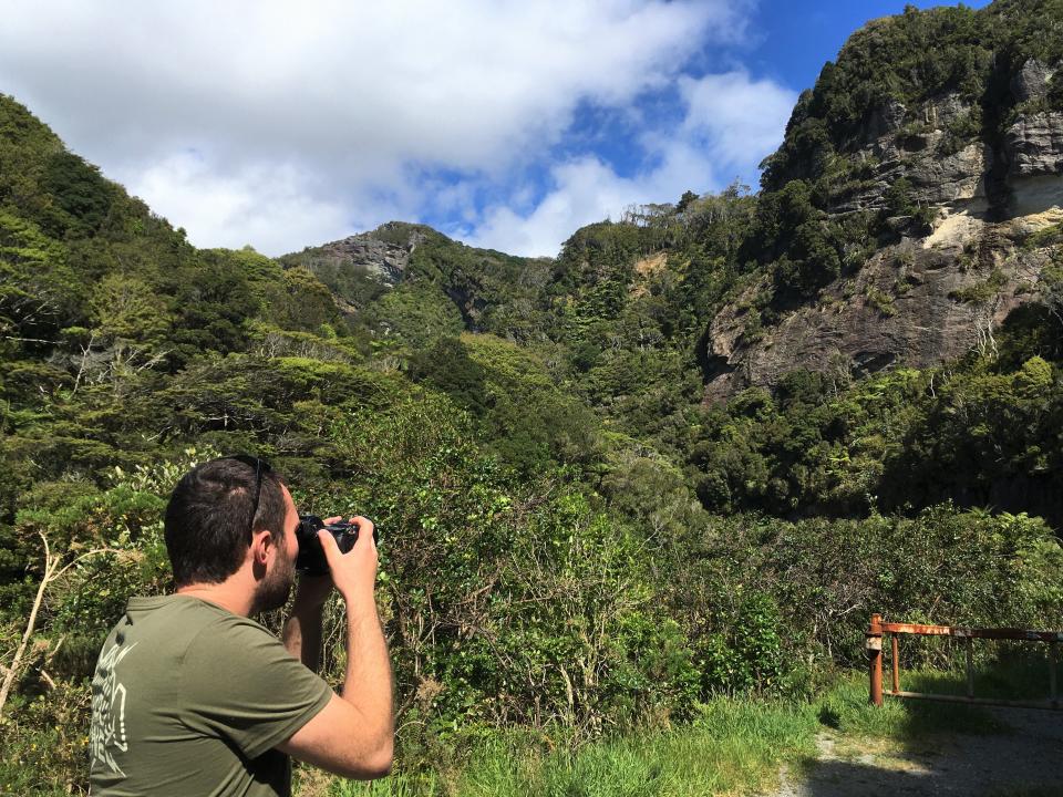 A man taking a photograph of a forest-like green area full of trees.