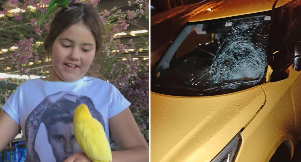 A photo of Shaylee holding birds. A photo of the yellow MG3 hatch that crashed into her.