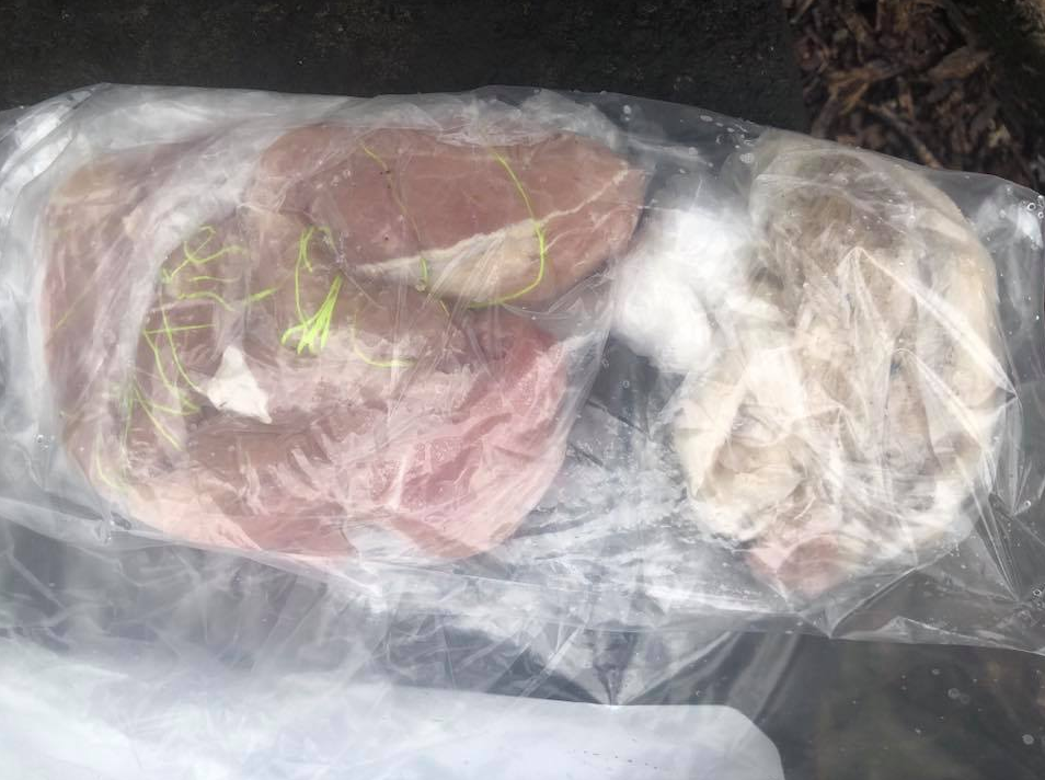 Meat wrapped in twine and inside freezer bags were found in the mouth of a dog in Cairns. Source: Facebook/Joanne Vanderbroek