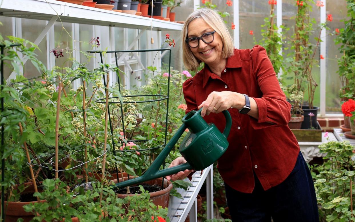 Cath Kidston tends to the geraniums in her Cotswolds greenhouse