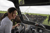 Meredith Ellis does her daily cattle count on her ranch in Rosston, Texas, Wednesday, April 19, 2023. The cattle part as Ellis edges her small four-wheeler through the herd. It's the way she starts most days on her 3,000-acre ranch: ensuring all the cattle are safe, deciding when they should move to another pasture, and checking that the grass is as healthy as her animals. "We're looking for the sweet spot where the land and cattle help each other," Ellis says. "You want to find that balance." (AP Photo/David Goldman)