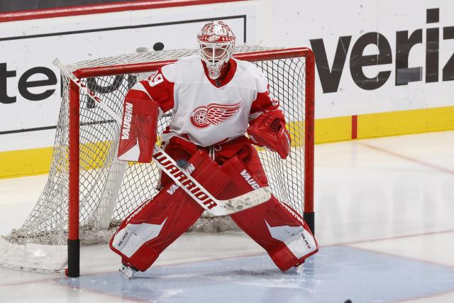 Alex Nedeljkovic Autographed Signed Detroit Red Wings Helmet Mask