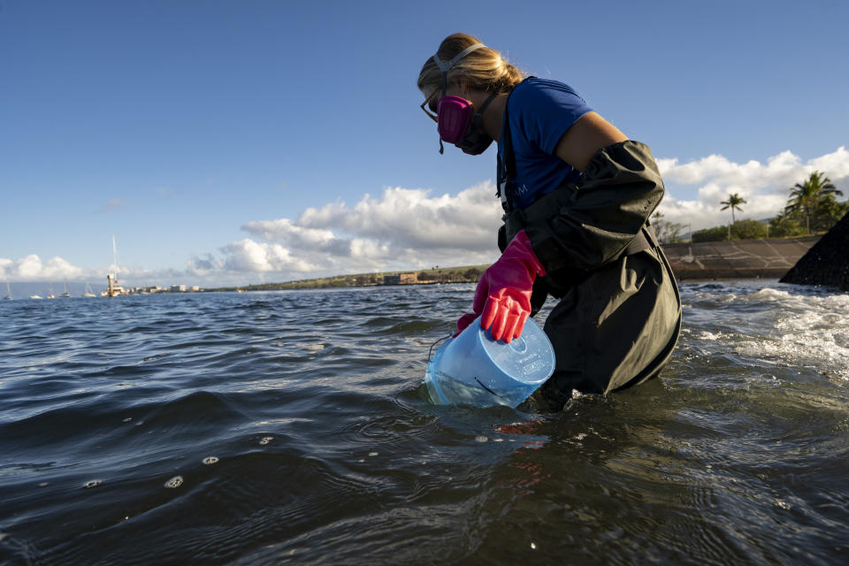 Christiane Keyhani, program coordinator of Hui O Ka Wai Ola, fills up the bucket to test water quality at the Mala Wharf on Friday, Feb. 23, 2024, in Lahaina, Hawaii. (AP Photo/Mengshin Lin)