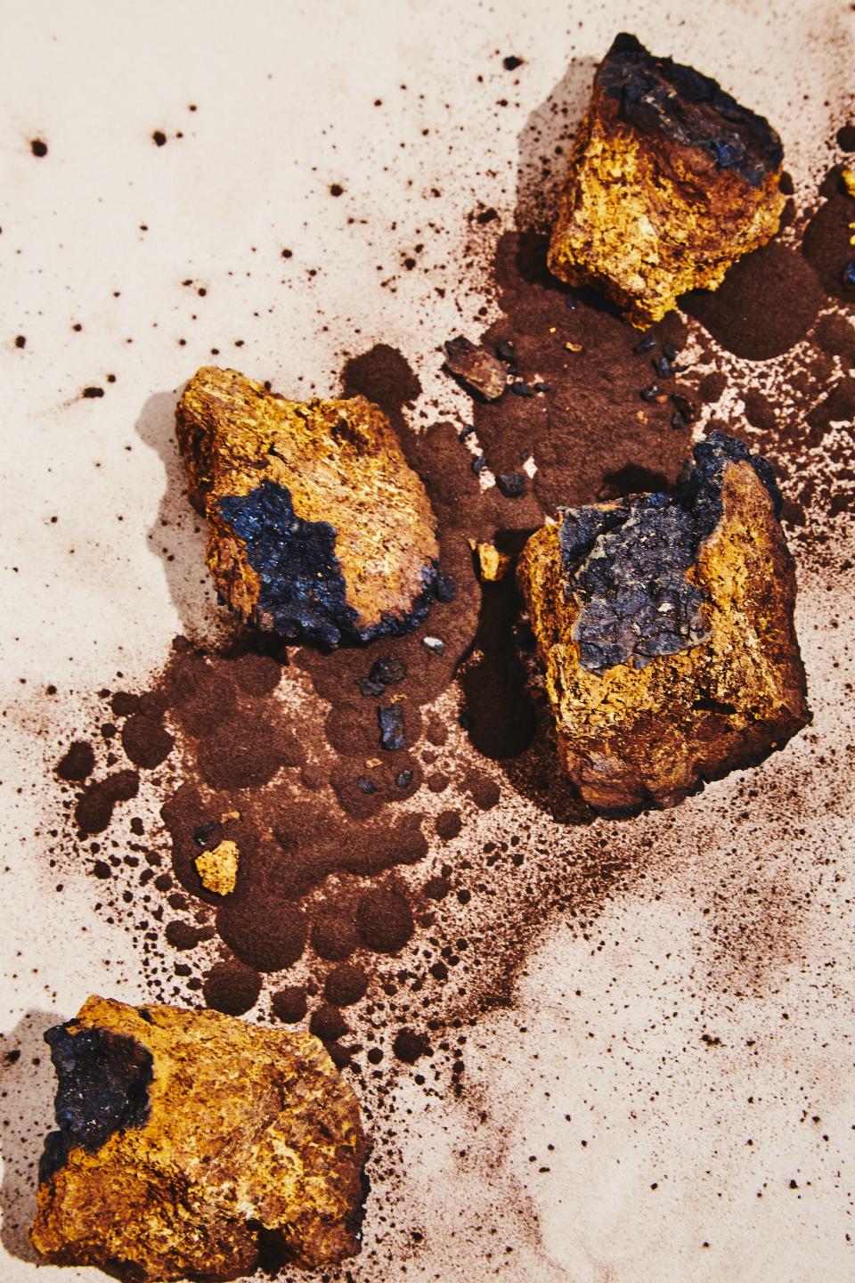 “We start with wild Siberian chaga. It’s really amazing—we have one mushroom that’s the size of someone’s lower torso. The unsexy part is the extraction [of the pigment from the mushroom itself], which is what creates something that actually adheres to fabric.”— <strong>Max Kingery</strong>