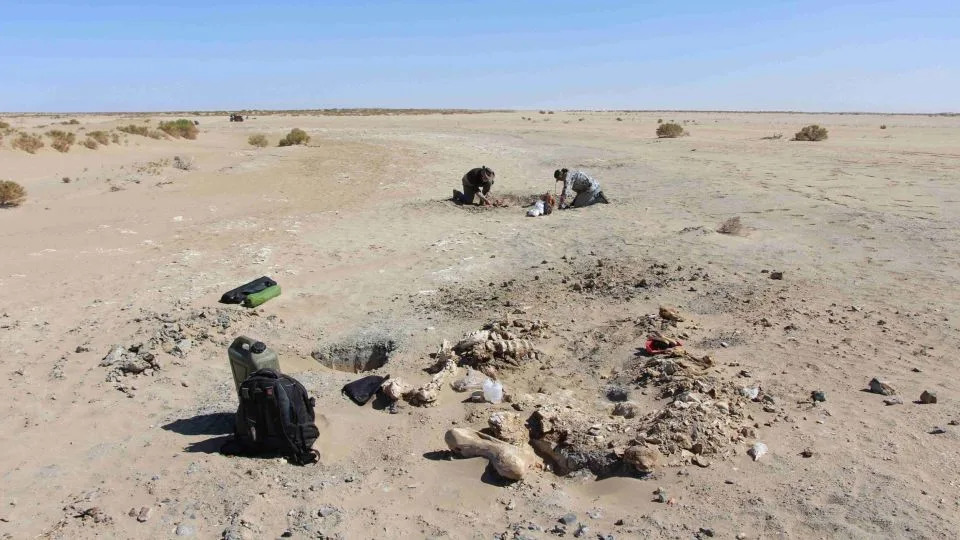 Volunteers on the archeological dig in Lake Callabonna, South Australia - Aaron Camens/Flinders University