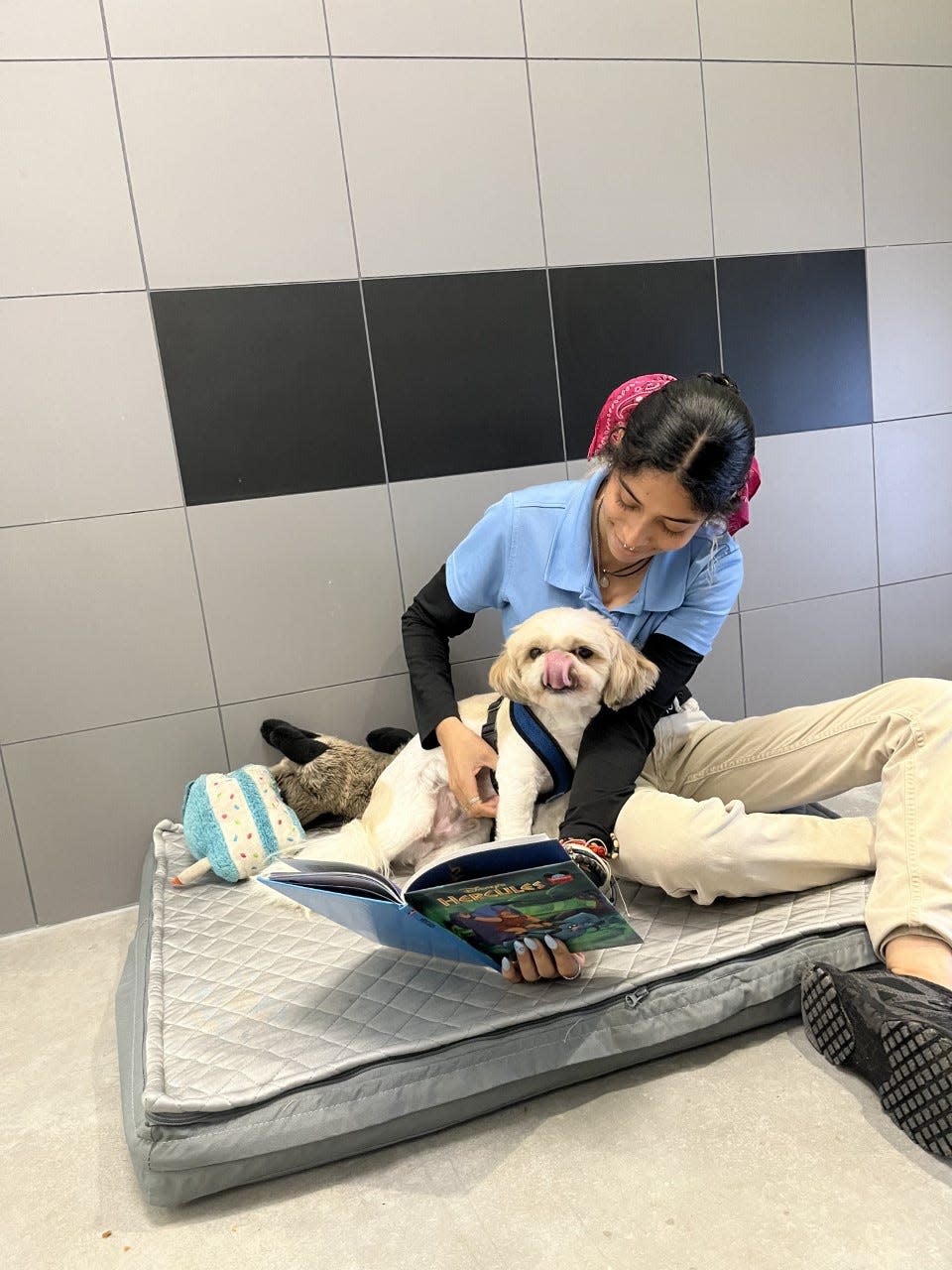 A staff member reads a bed-time story to a dog at the Best Friends Pet Hotel.