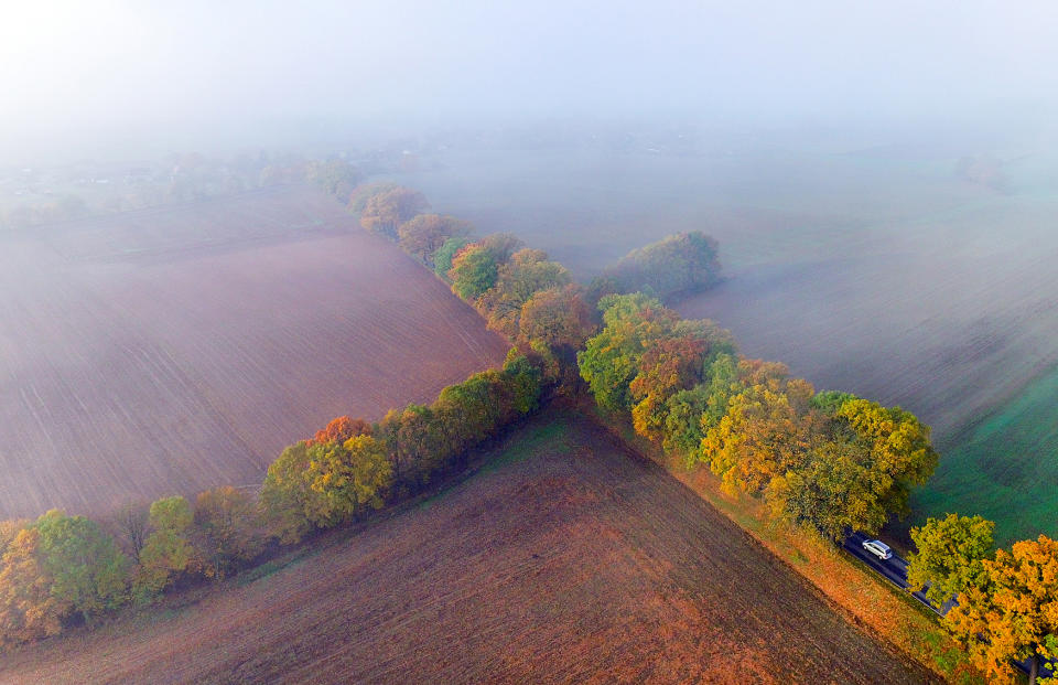 Autumn morning in German Brandenburg State