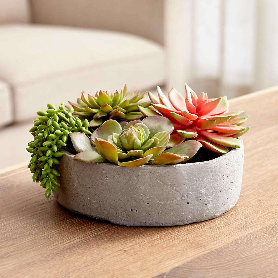 artificial plants that look real best selling faux succulents