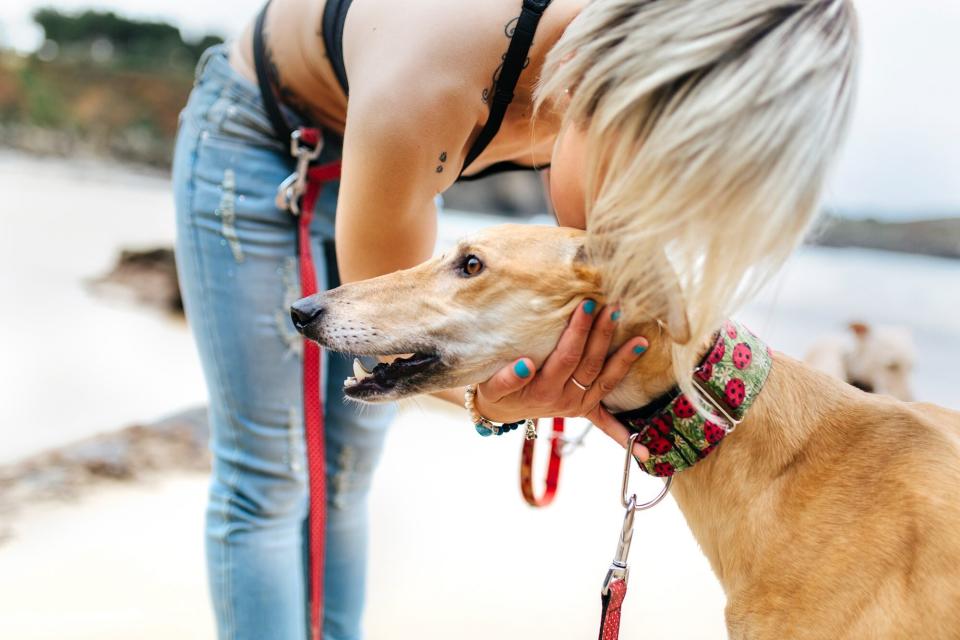 woman on a beach kissing the top of her greyhound's head