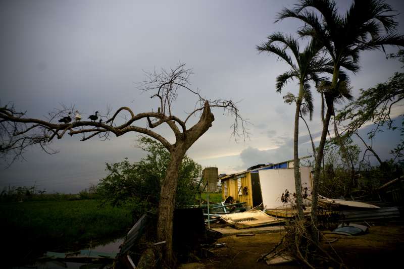 美屬波多黎各遭到瑪莉亞颶風重創，島上340萬人斷電、缺乏乾淨水源和基礎物資。(美聯社)