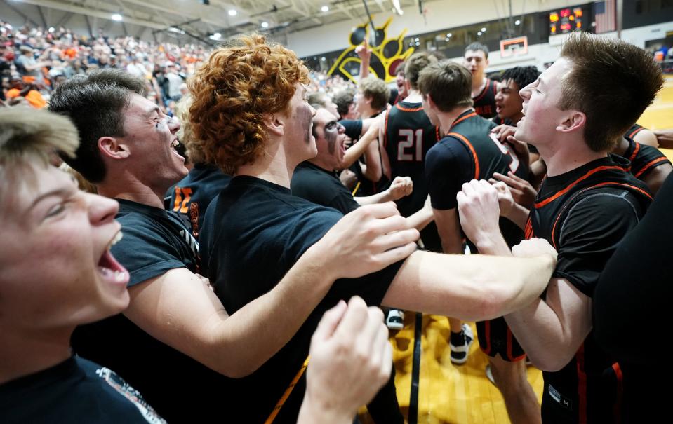 Delaware Hayes fans and players celebrate their win over Olentangy Orange in the Division I regional final at Ohio Dominican.