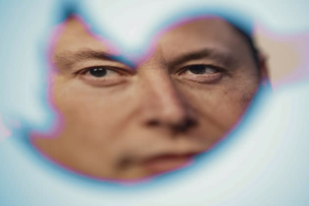 elon-twitter-nazi.jpg Twitter Introduces New Official Badge For Users For Free - Credit: STR/NurPhoto/Getty Images