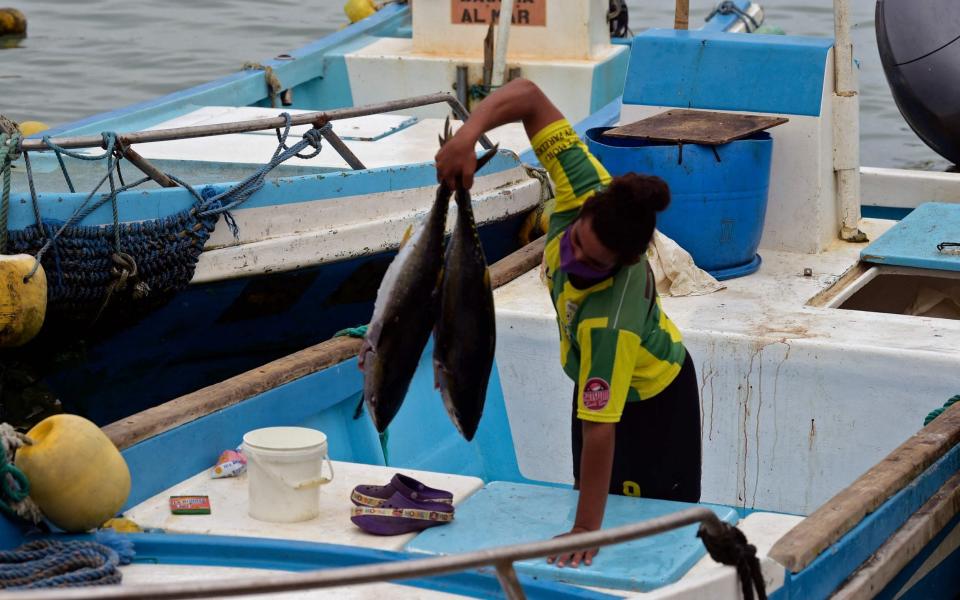 The Galapagos islands are also concerned about Chinese fishing activities - Rodrigo Buendia/AFP