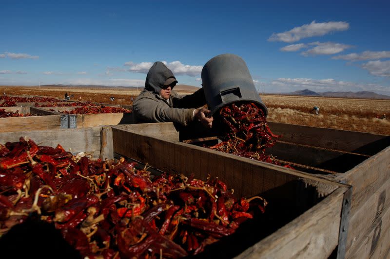 The Wider Image: In Mexico, a decade of images shows Mennonites' traditions frozen in time