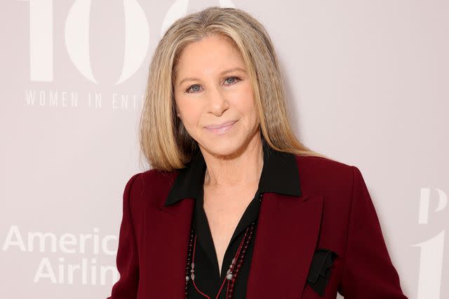 <p>Todd Williamson/Getty Images</p> Barbra Streisand