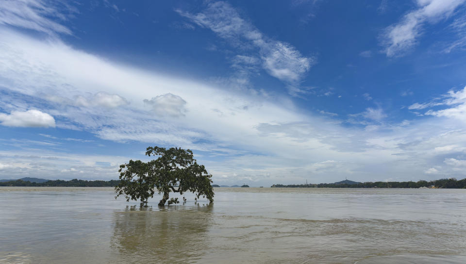 A tree is seen submerged in the swollen Brahmaputra river, following heavy monsoon rain, in Guwahati, Assam, India on July 15, 2020. (Photo by David Talukdar/NurPhoto via Getty Images)
