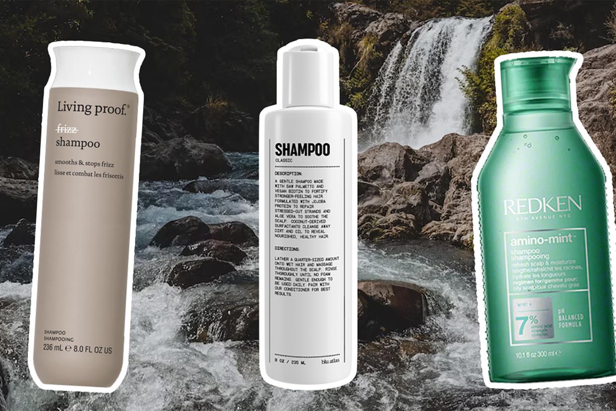 The Best Shampoos for Oily Scalp and Dry Ends