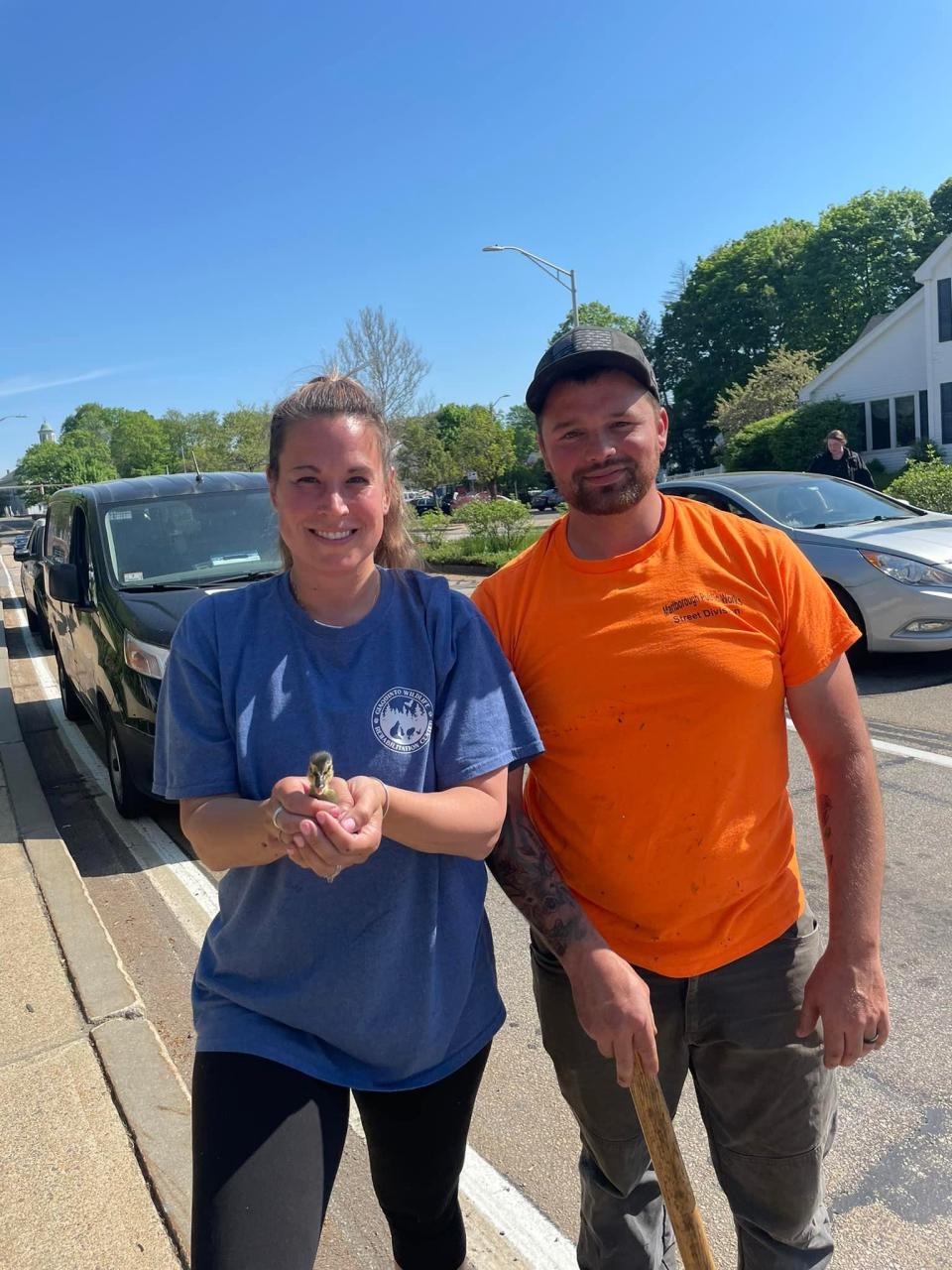 Alyssa Giaquinto of The Giaquinto Wildlife Rehabilitation Center, holds one of the rescued ducklings. Marlborough Public Works employee Alex Szczepaniak assisted in removing the storm drain cover where the ducklings had fallen.