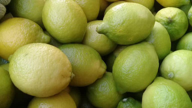 La partida exportada estuvo integrada por 6.405 pallets de limones, 4.823 de naranja, 860 de mandarinas, 166 de peras, más un lote con 6 pallets de nuez.