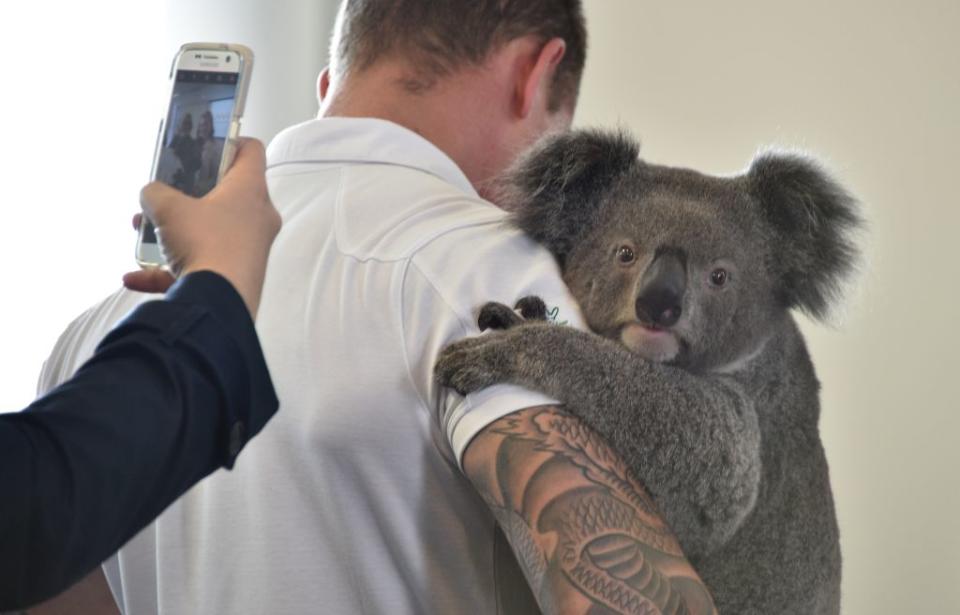 Die besten Tierfotos der Woche (30.6. bis 06.07.2018)