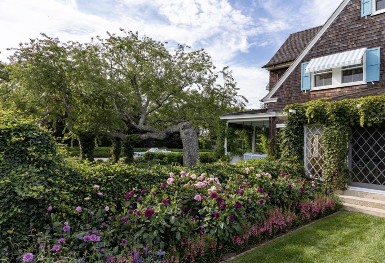 a garden with flowers and trees