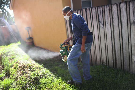 A mosquito control inspector in sprays pesticide.