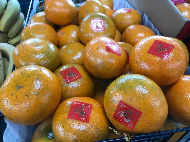 圖/冬季來臨時最適合品嚐柑橘-台北市農會提供