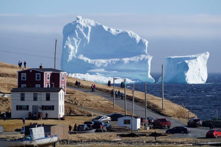 The iceberg spotted off the coast of Newfoundland and Labrador (Reuters)